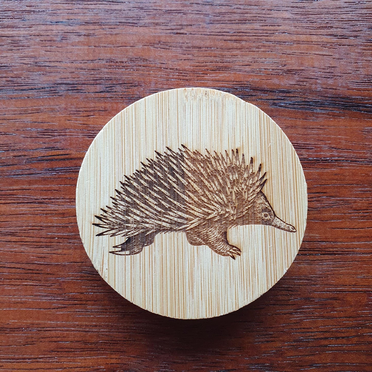 Echidna Australian Native Bamboo Wood Magnetic Bottle Opener Party Favour