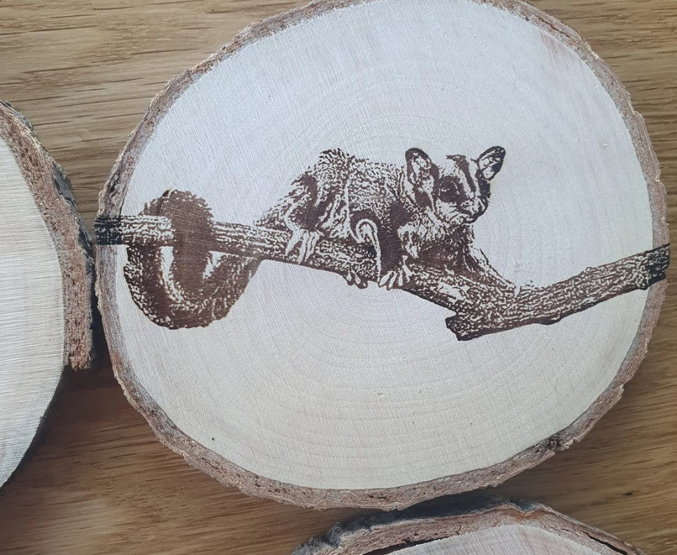 Australian Native Animal Mammal Coaster Set Koala, Tasmanian Devil, Echidna, Sugar Glider