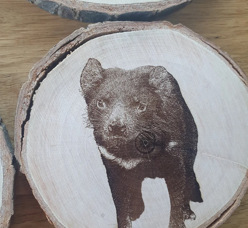 Australian Native Animal Mammal Coaster Set Koala, Tasmanian Devil, Echidna, Sugar Glider